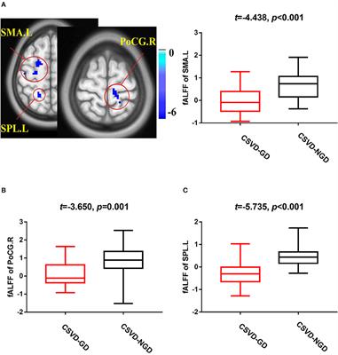 Altered Brain Function in Cerebral Small Vessel Disease Patients With Gait Disorders: A Resting-State Functional MRI Study